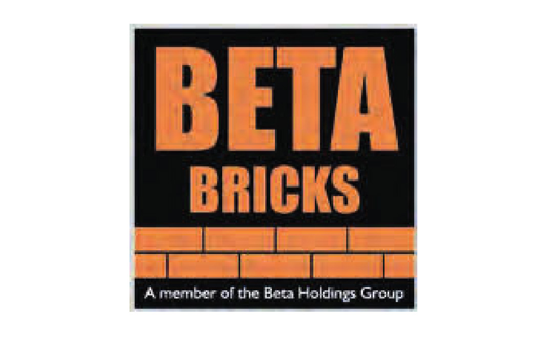 Beta Bricks